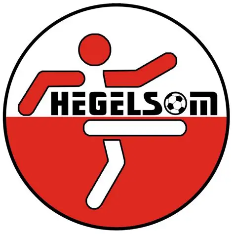 logo Hegelsom